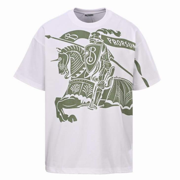 Picture of Burberry T Shirts Short _SKUBurberryS-2XL12dtr900320008